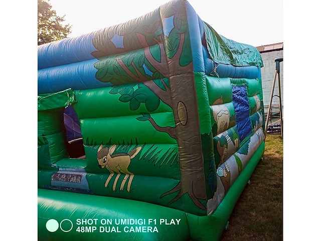 Springkasteel “kabouter" - afbeelding 6 van  12