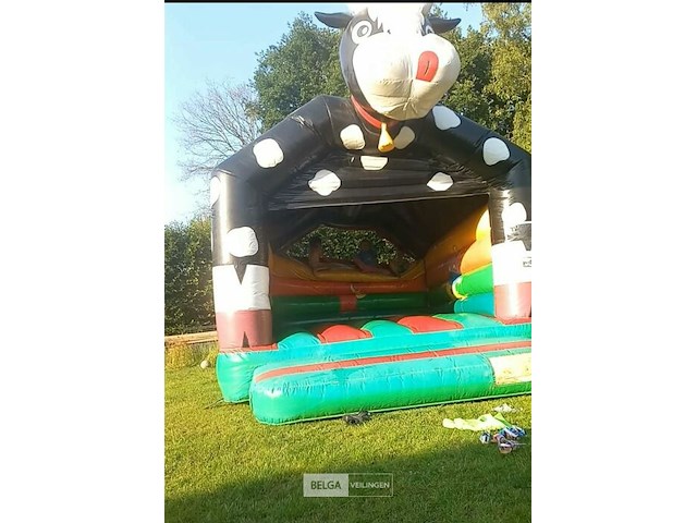 Springkasteel - afbeelding 1 van  5