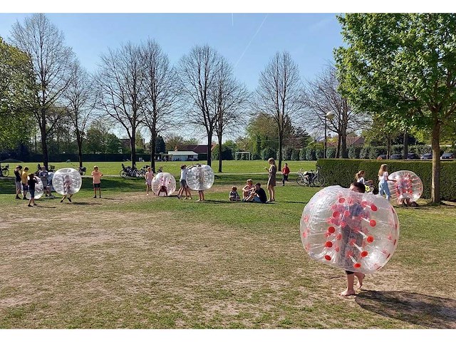 Springkussen (5x) - afbeelding 2 van  2