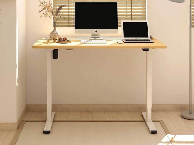 Sta-bureau 100x60x(73-123) cm, in hoogte verstelbaar elektrisch bureau - afbeelding 1 van  5