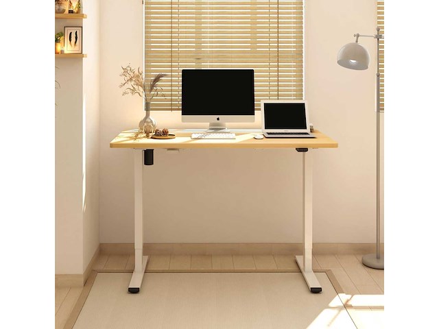 Sta-bureau 100x60x(73-123) cm, in hoogte verstelbaar elektrisch bureau - afbeelding 4 van  5