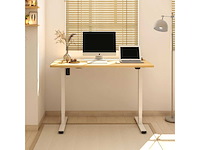 Sta-bureau 100x60x(73-123) cm, in hoogte verstelbaar elektrisch bureau - afbeelding 4 van  5
