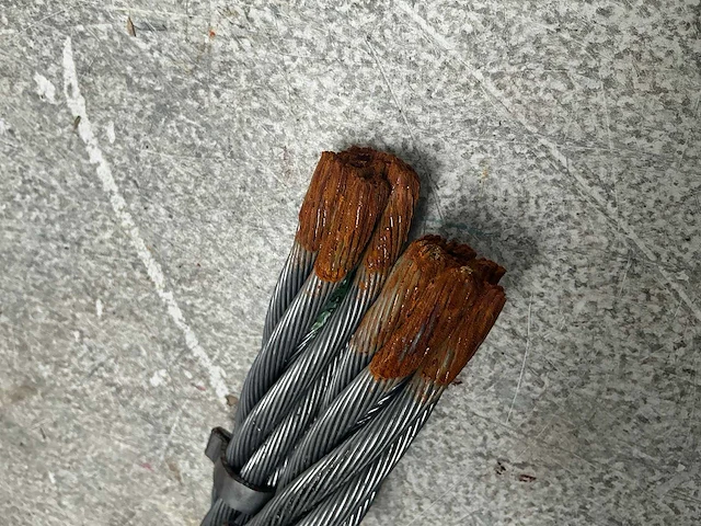 Staalborstel (2x) - afbeelding 5 van  5