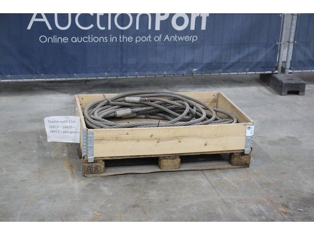 Staalstrop 6000kg 12m - afbeelding 1 van  1