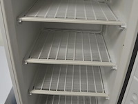 Staande diepvries 1 deur combisteel 7450.0571 180l - afbeelding 6 van  7