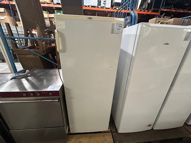 Staande diepvries everglades - afbeelding 1 van  7