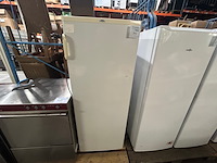 Staande diepvries everglades