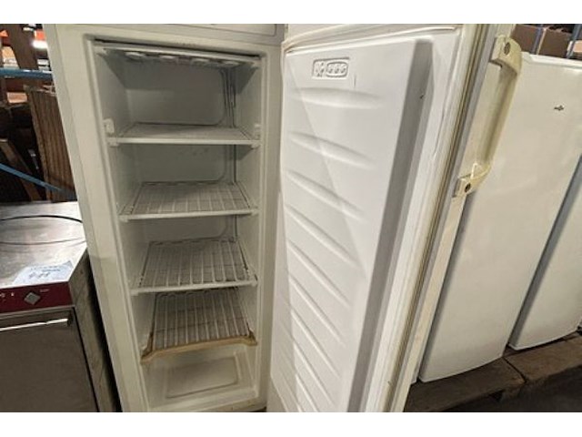 Staande diepvries everglades - afbeelding 2 van  7