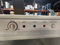 Staande diepvries everglades - afbeelding 3 van  7