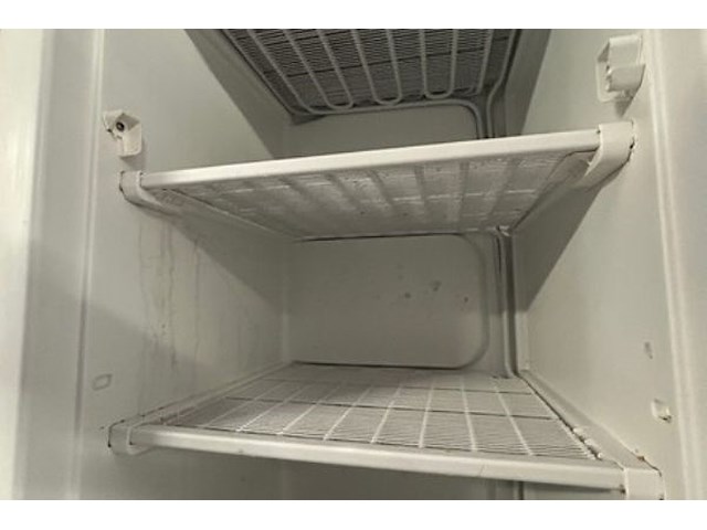 Staande diepvries everglades - afbeelding 4 van  7