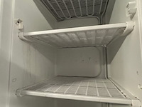 Staande diepvries everglades - afbeelding 4 van  7