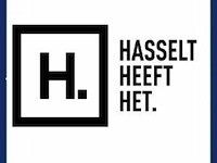 Stad hasselt