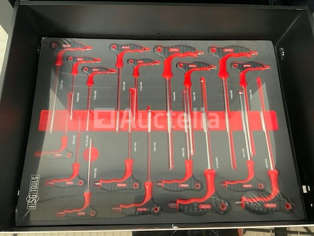 Stahlgruppe - sg11 - gereedschapswagen 258 delig - afbeelding 5 van  10