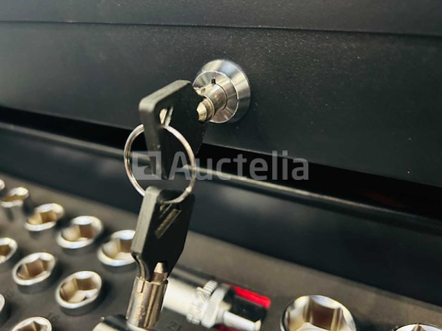 Stahlgruppe - sg2024 - 327-delige - gereedschapswagen - afbeelding 3 van  25