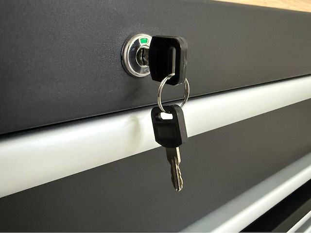Stahlgruppe sg57 heavy-duty gereedschapswagen - afbeelding 19 van  23