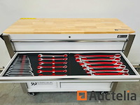 Stahltech 387-delig gereedschapswagen - afbeelding 3 van  24