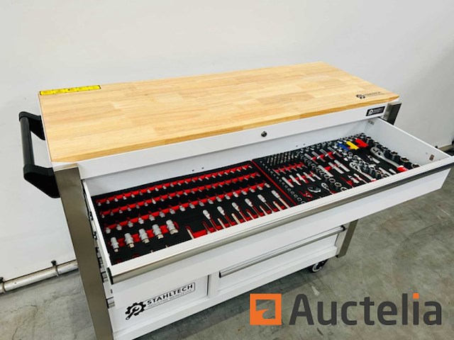 Stahltech 387-delig gereedschapswagen - afbeelding 21 van  24