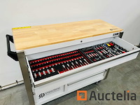 Stahltech 387-delig gereedschapswagen - afbeelding 21 van  24