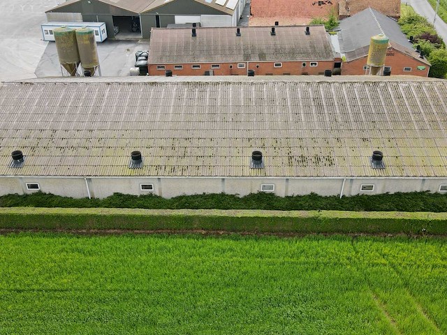 Stal 44x22m - panelen 20cm dikte - afbeelding 4 van  6