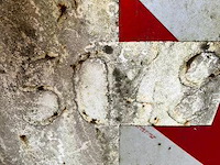 Stalen container - afbeelding 3 van  4