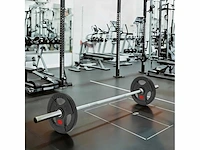 Stalen gewichtschijven 20 kg, pvc-afwerking, gewichtsplaten 2 x 10 kg - afbeelding 2 van  4