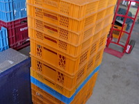 Stapelbakken en koelboxen - afbeelding 4 van  7