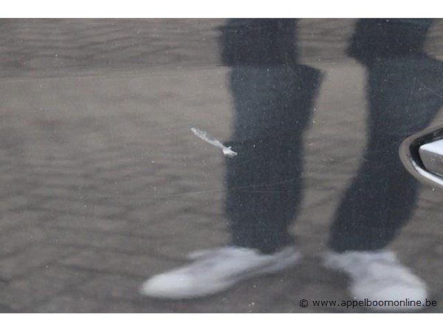 Stationwagen skoda, octavia, tmbjr7nx1ny057860, datum eerste insch 24/10/2022, 1498cm³, 110kw, euro 6d, benzine, kentekenbewijs deel i + ii - afbeelding 19 van  19