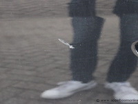 Stationwagen skoda, octavia, tmbjr7nx1ny057860, datum eerste insch 24/10/2022, 1498cm³, 110kw, euro 6d, benzine, kentekenbewijs deel i + ii - afbeelding 19 van  19