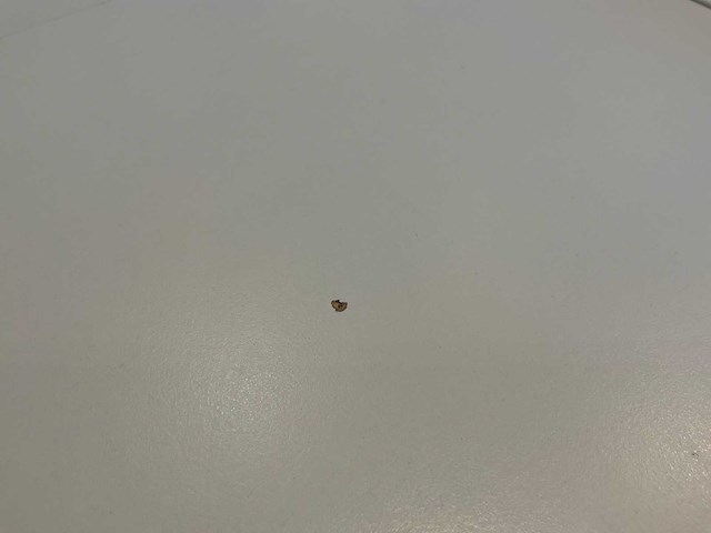 Steelcase mobiele inklapbare vergadertafel (4x) - afbeelding 6 van  14