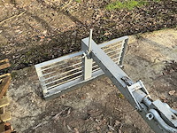 Steenklem - afbeelding 4 van  6