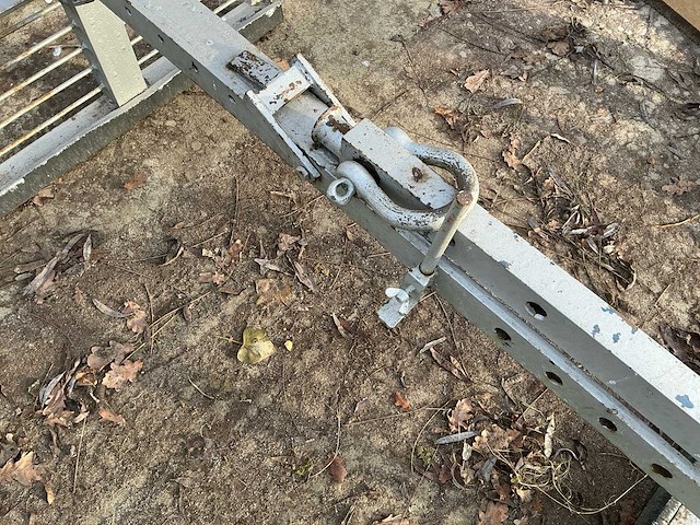 Steenklem - afbeelding 5 van  6