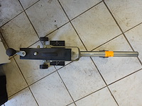 Steenknipper almi - afbeelding 2 van  4