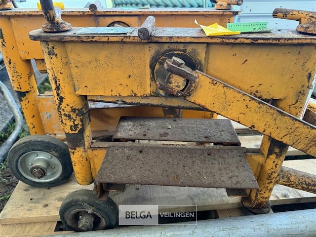 Steenknipper - afbeelding 4 van  5