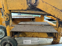 Steenknipper - afbeelding 5 van  5