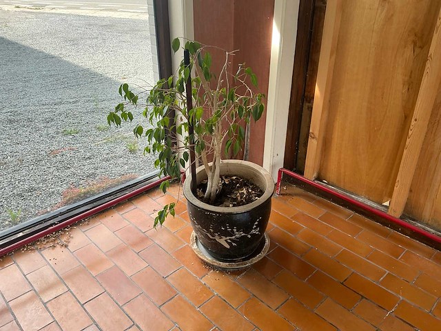 Stenen bloempot (4x) - afbeelding 4 van  4