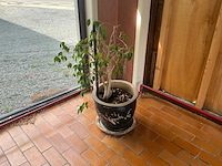 Stenen bloempot (4x) - afbeelding 4 van  4