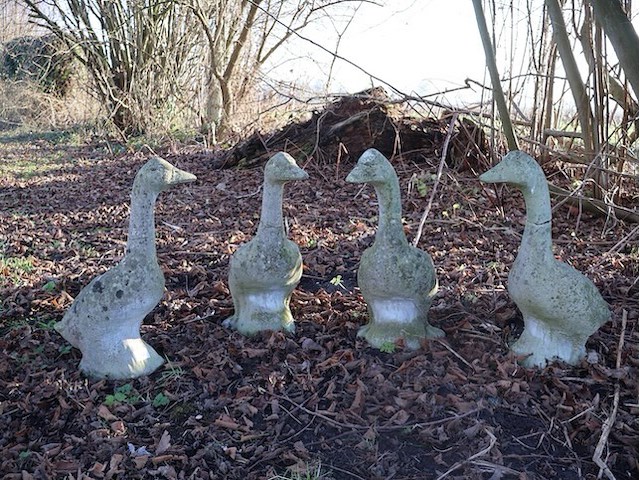 Stenen ganzen (x5) - afbeelding 1 van  4