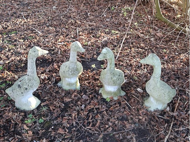 Stenen ganzen (x5) - afbeelding 2 van  4