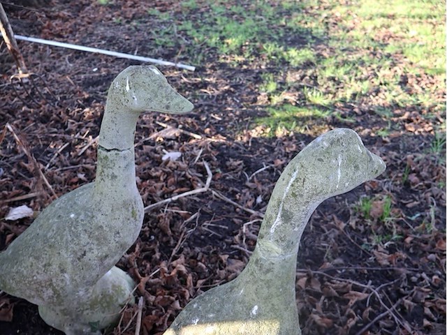 Stenen ganzen (x5) - afbeelding 4 van  4