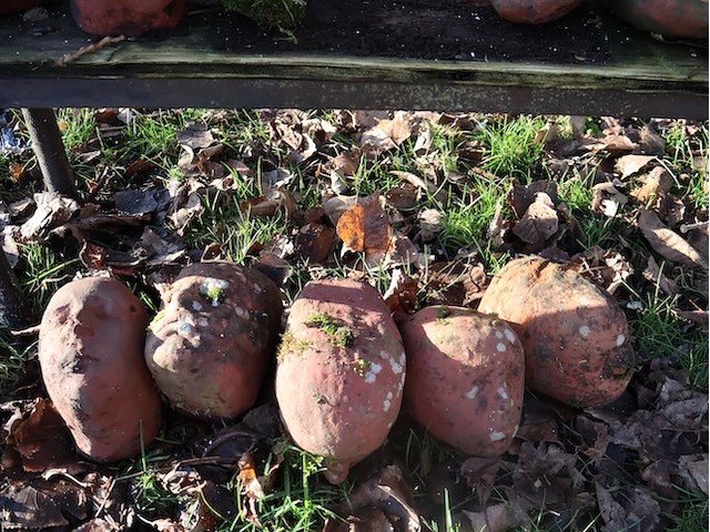 Stenen kopjes (x21) - afbeelding 4 van  6