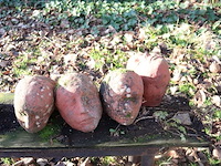 Stenen kopjes (x21) - afbeelding 5 van  6