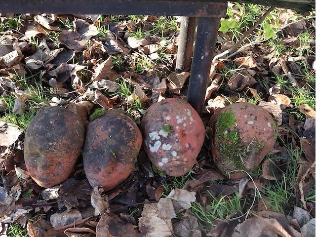 Stenen kopjes (x21) - afbeelding 6 van  6