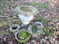 Stenen ornamenten (plm5)