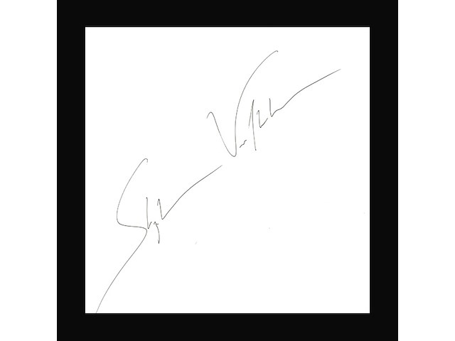 Stephan vanvleteren - 'portret 1989 - 2009' - afbeelding 8 van  9