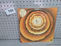 Stevie wonder