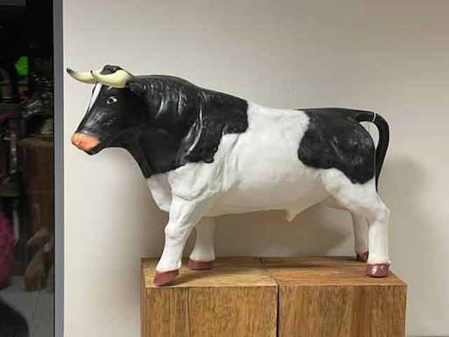 Stier h69cm x l110cm zwart/wit - afbeelding 2 van  2