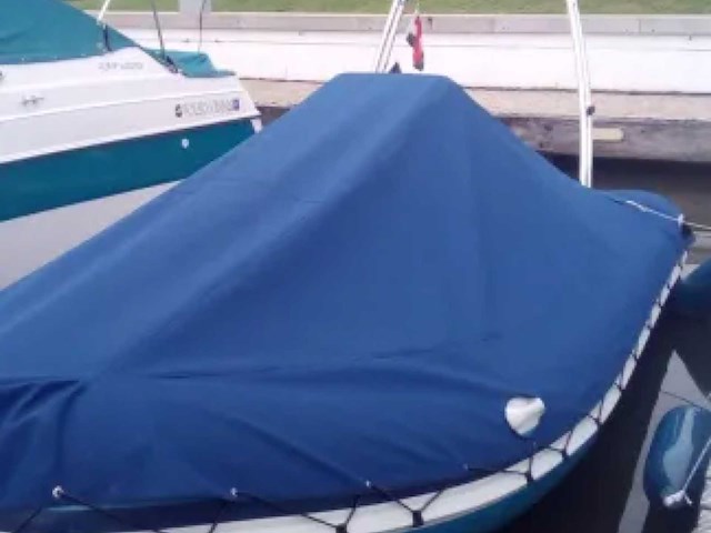 Stingher - predator - rib - rib boot - afbeelding 2 van  11