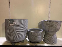 Stockliquidatie tuincentrum