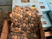 Stones & mosaics mix earthy grote partij mozaïek tegel in keien (130x) - afbeelding 1 van  2