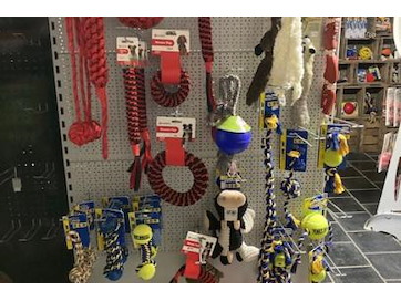 Stopzetting dierenwinkel - honden, katten & vogelaccessoires